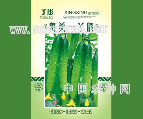 奥美一丫俩